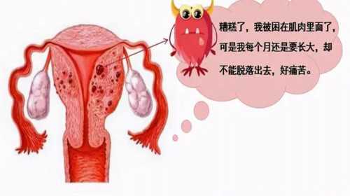 aa69助孕公司天津有吗[供卵助孕成功率],泸州做试管婴儿要多少钱？
