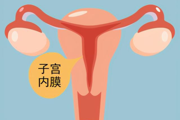 广州传承生殖医学怎么样[供卵最好的医院],佳木斯试管婴儿成功率-2023佳木斯三